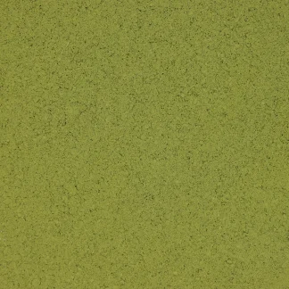 Groene matcha - Japan - Medium - biologische groene thee