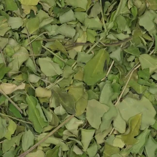 Moringa - biologische kruiden