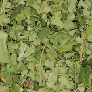 Moringa - biologische kruiden