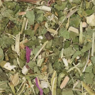 Rode Zonnehoed / Echinacea - Biologische Kruiden | De Theefabriek - Theewinkel