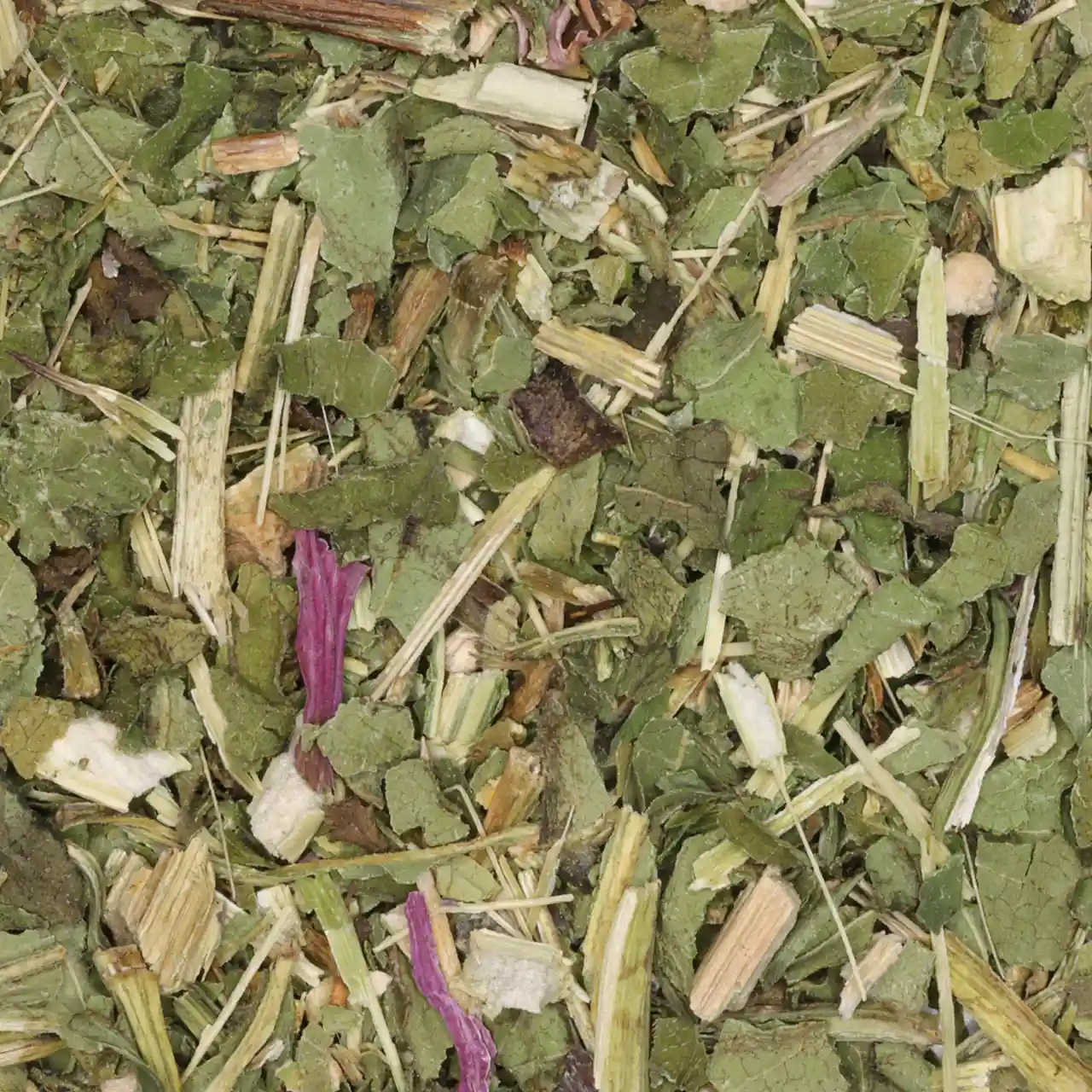 Rode Zonnehoed / Echinacea - Biologische Kruiden | De Theefabriek - Theewinkel