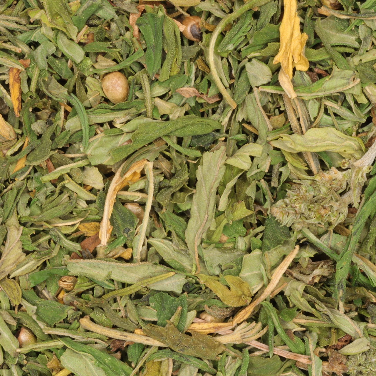 Hennep kruid - biologische kruiden