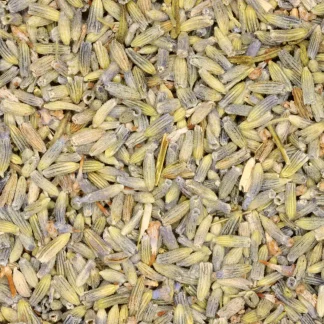 Lavendel: Biologische kruiden