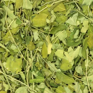 Moringa: Biologische kruiden