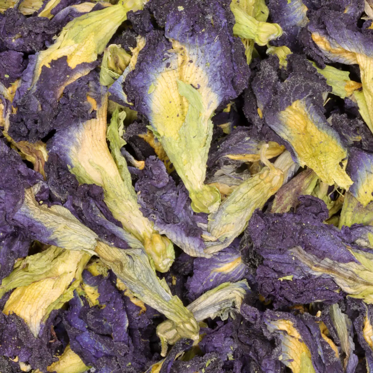 Vlindererwtbloesem - kruiden - Afbeelding 2