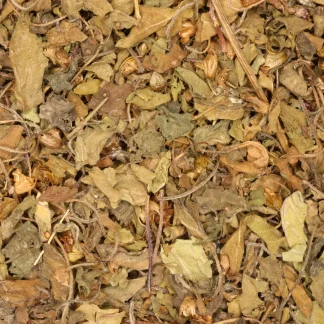 Tulsi / Heilige Basilicum - biologische kruiden