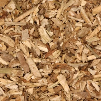 Cichoreiwortel - biologische kruiden
