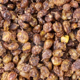 Duindoornbessen - biologische vruchten