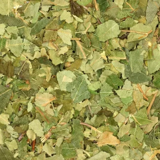 Berkenblad - biologische kruiden