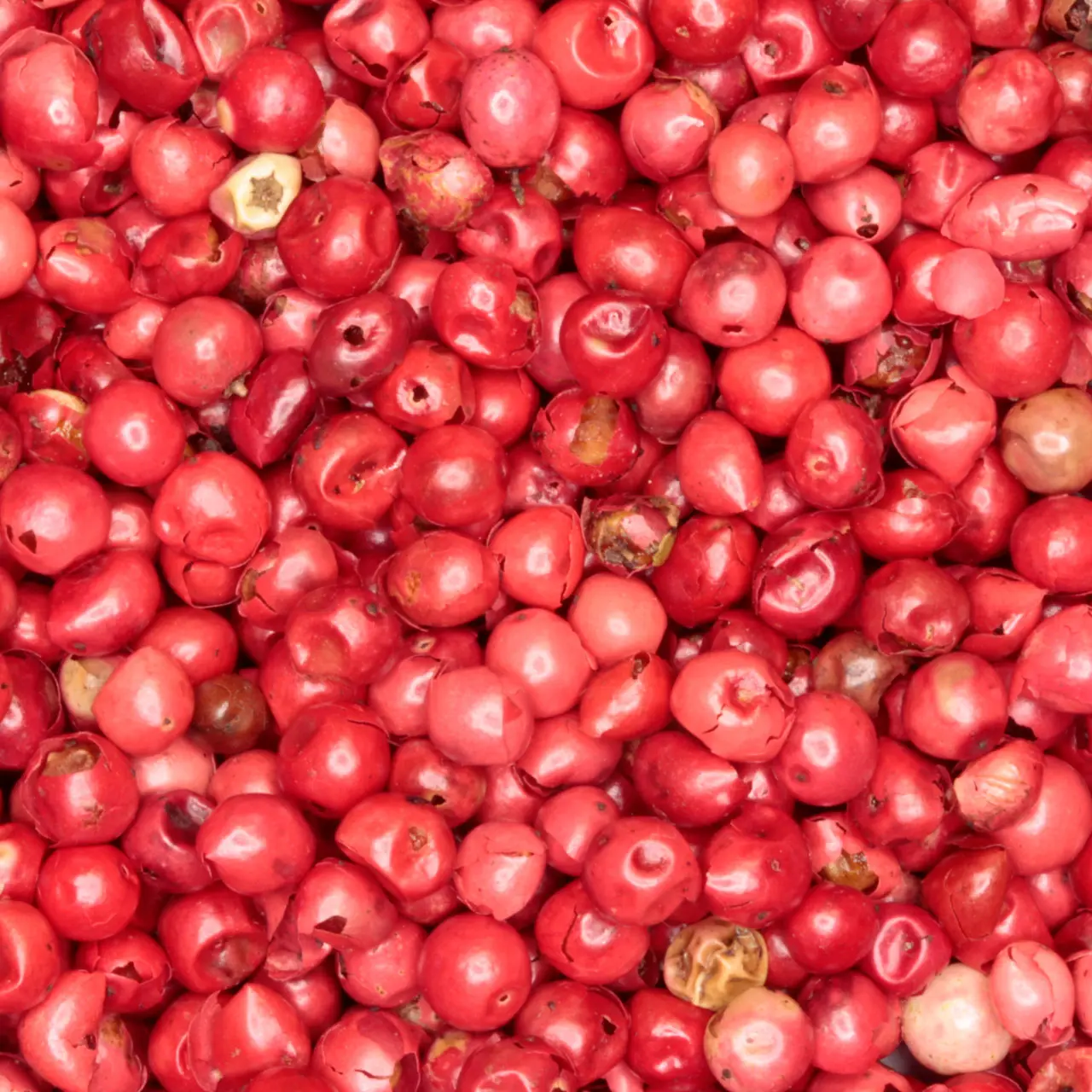 Roze Peper - biologische specerijen