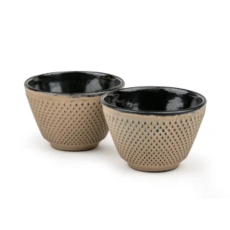 Theekom - Bredemeijer - Xilin