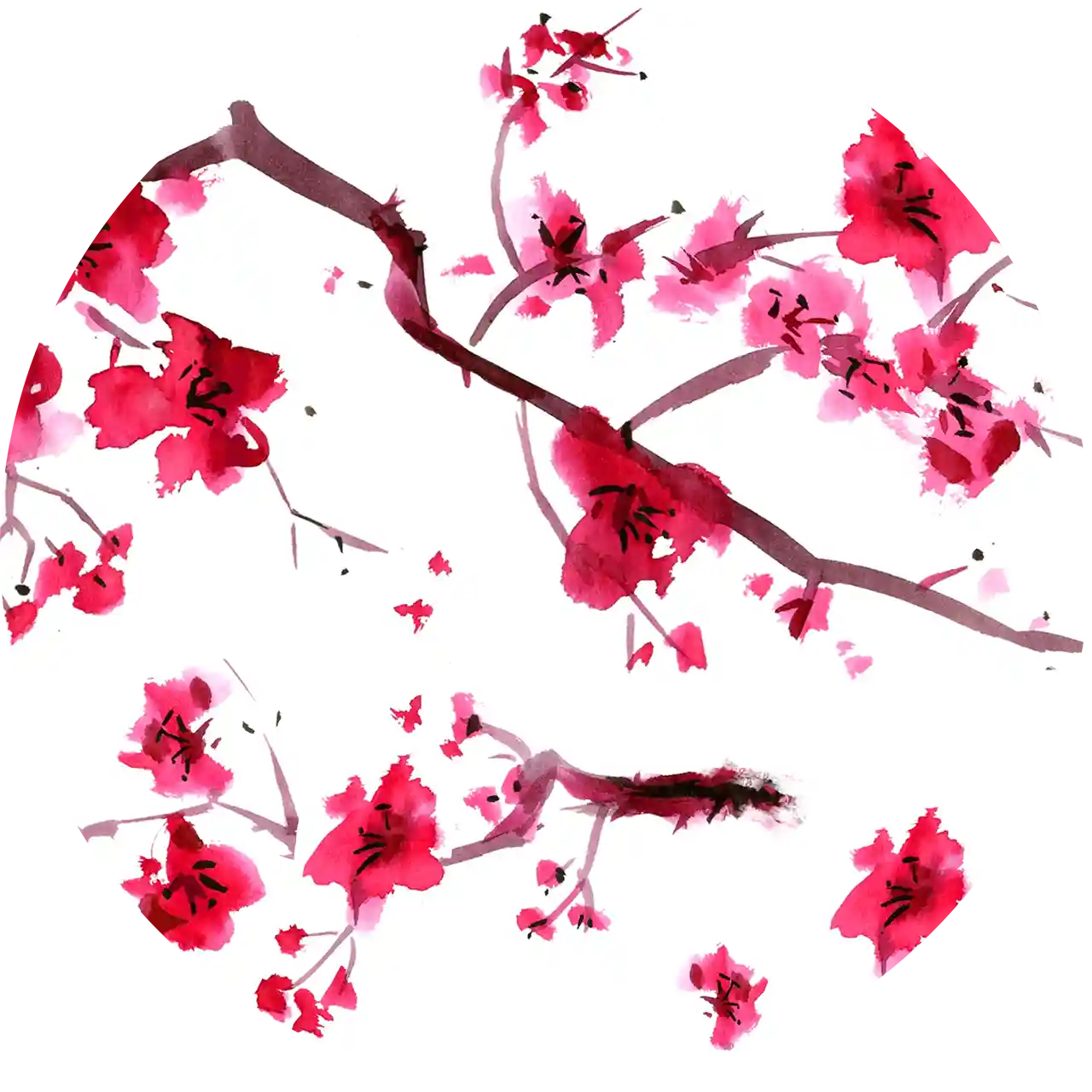 Theemok - Eigenart - Teaeve - Cherry Blossom - Afbeelding 2