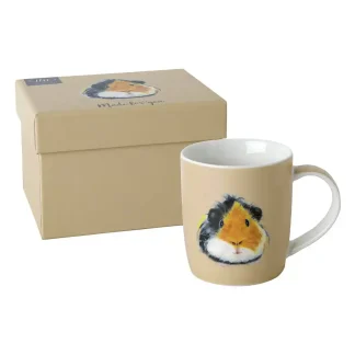 Theemok - Ihr - Guinea Pig Pedro