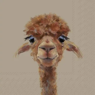 Servetten - Ihr - Alpaca Fernando - Brown