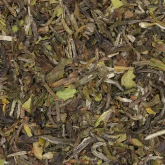 Darjeeling First Flush 2026 DJ1 'Samabeong' - biologische zwarte thee