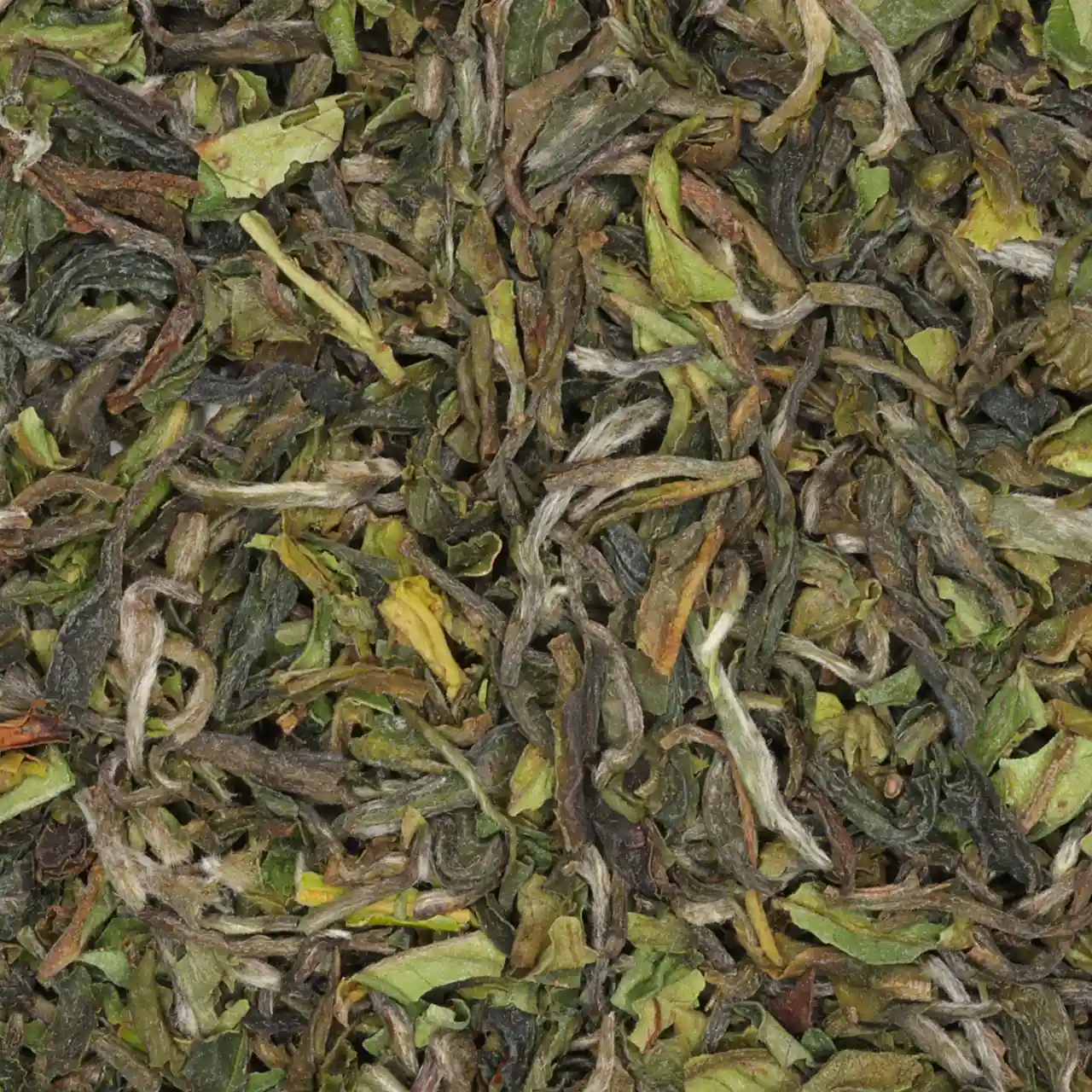 Darjeeling First Flush 2026 DJ1 'Happy Valley' - biologische zwarte thee