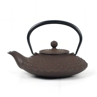 Theepot - Iwachu - Kambin - 450 ml