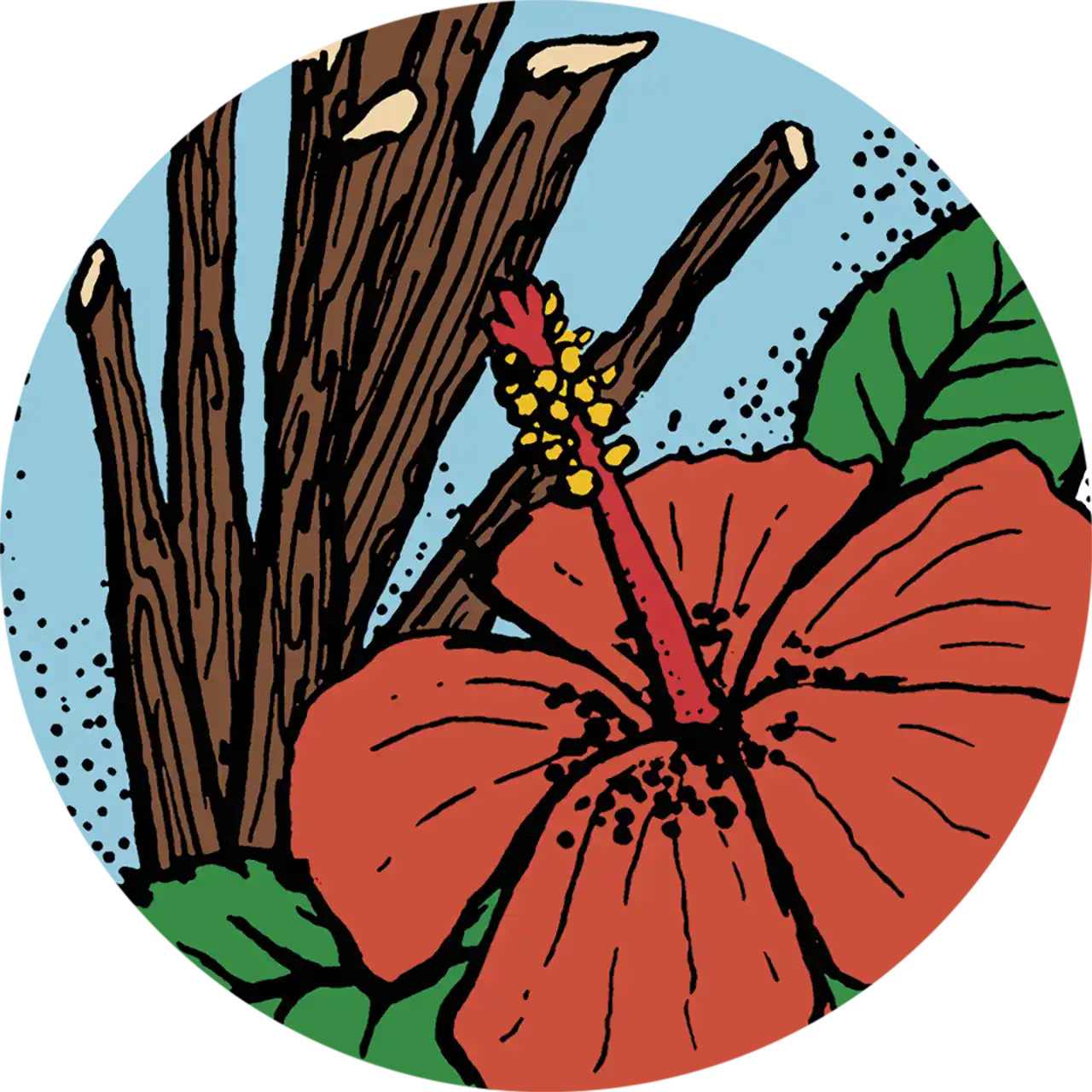 Sweet & Sour - biologische rooibos - Afbeelding 2